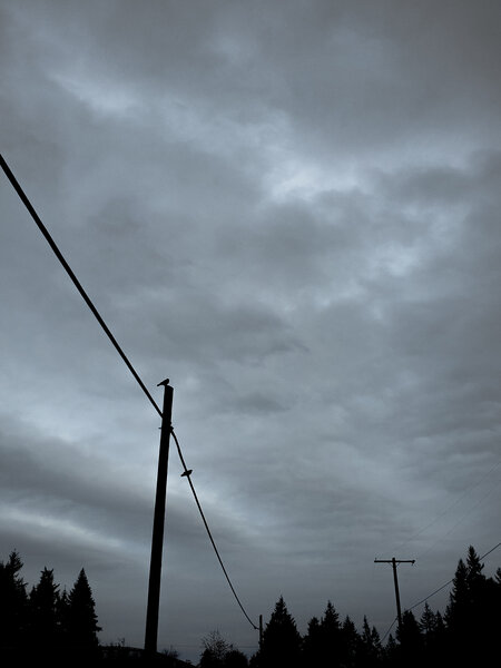 tagisu - tagtober - 1761699886-3086259-304