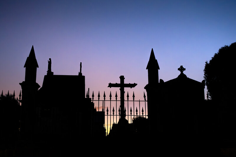 tagisu - tagtober - 1761778449-3108326-454