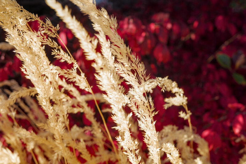 tagisu - tagtober - 1761778894-3108498-500