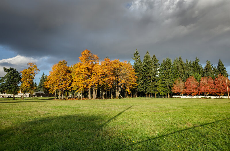 tagisu - tagtober - 1761791099-3113356-423