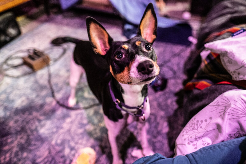 tagisu - tagtober - 1761887514-3159130-260