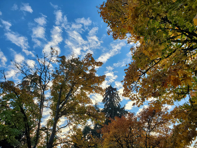 tagisu - tagtober - 1761891368-3161687-742