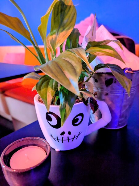 tagisu - tagtober - 1761954064-3197314-239